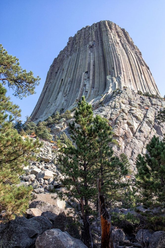 Devils Tower Tower Trail