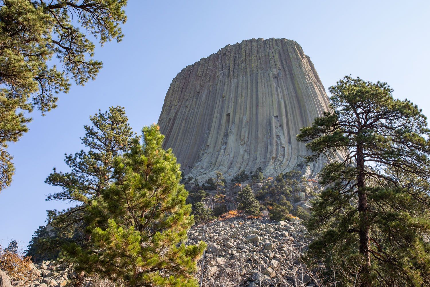 First View Devils Tower