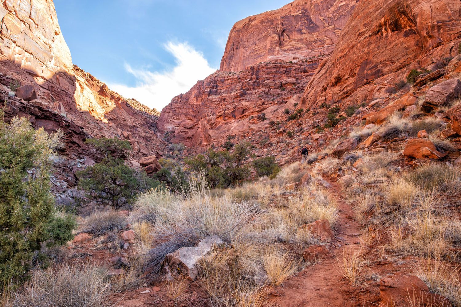 Getting to the Boulder Field