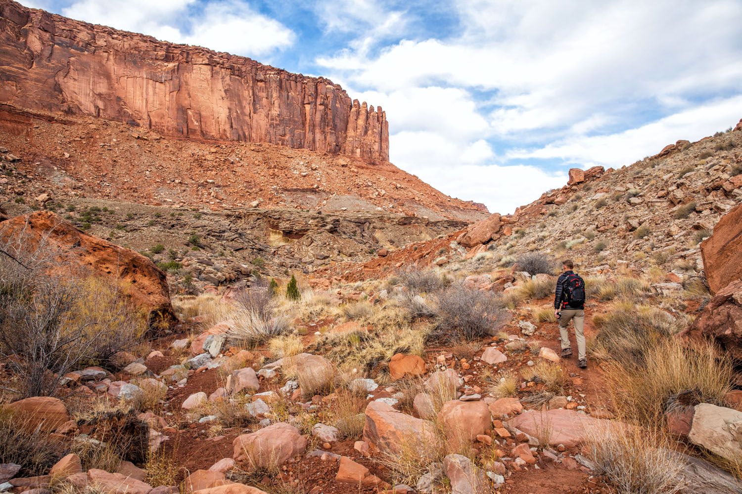 In the Canyon