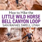Little Wild Horse Bell Canyon Slot Canyon