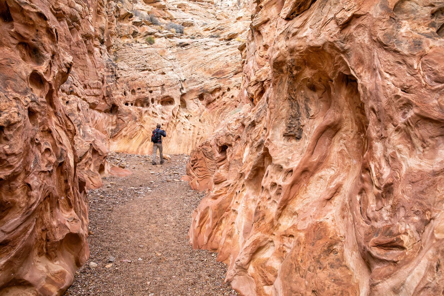 Little Wild Horse Canyon