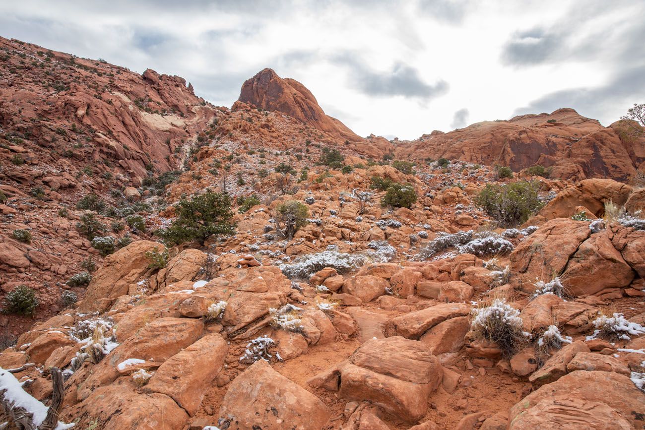 Looking Up at the Climb