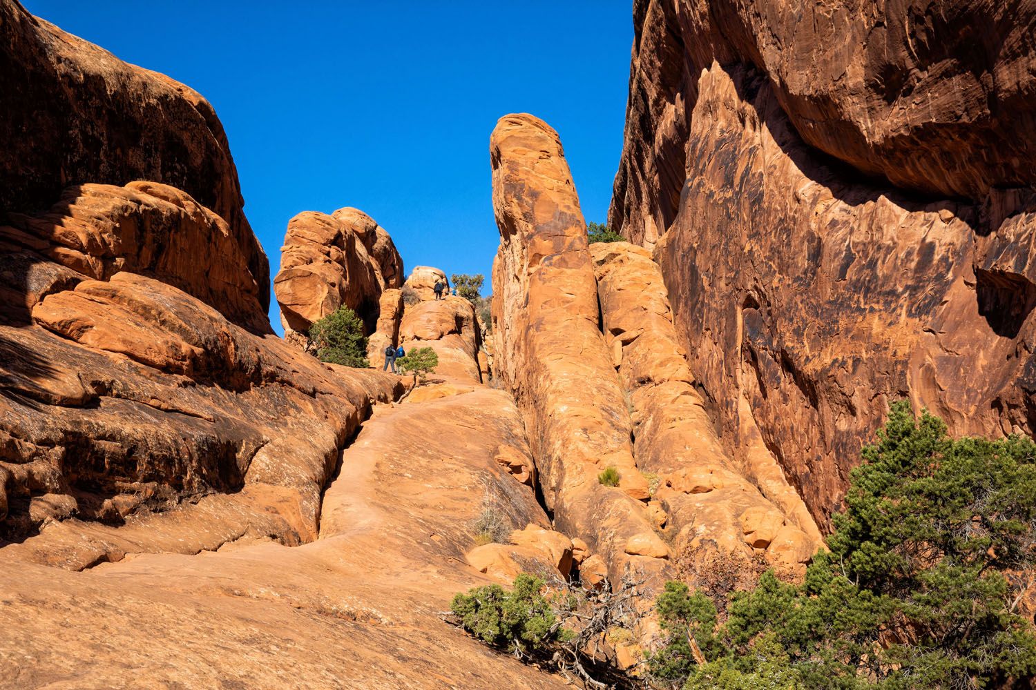 On the Devils Garden Trail