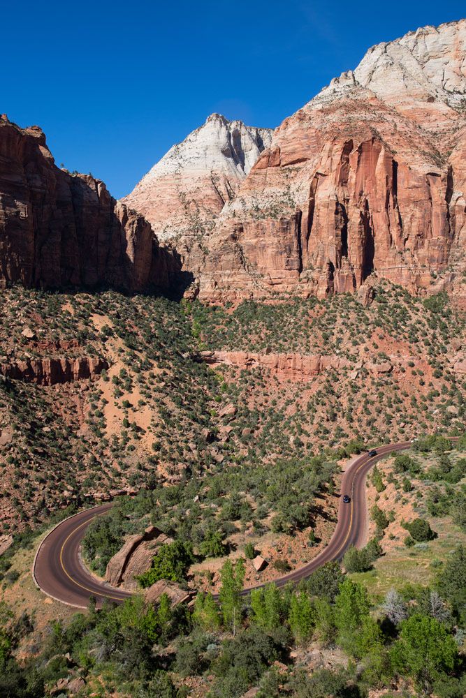 Zion National Park Road