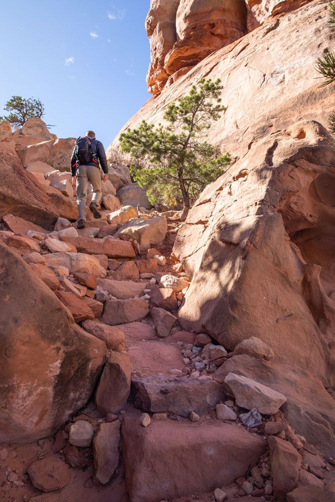 Saddle Climb