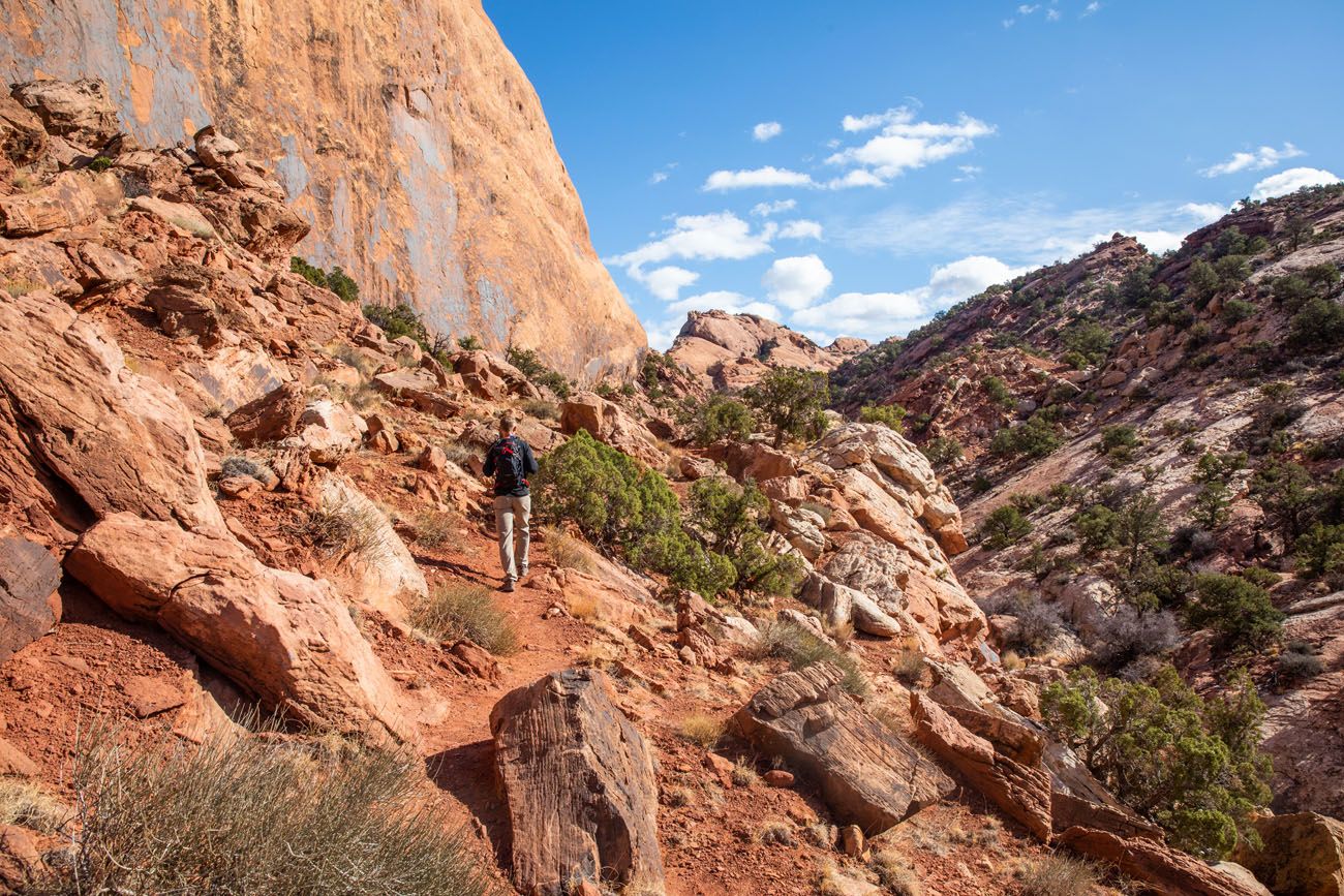 Syncline Canyon