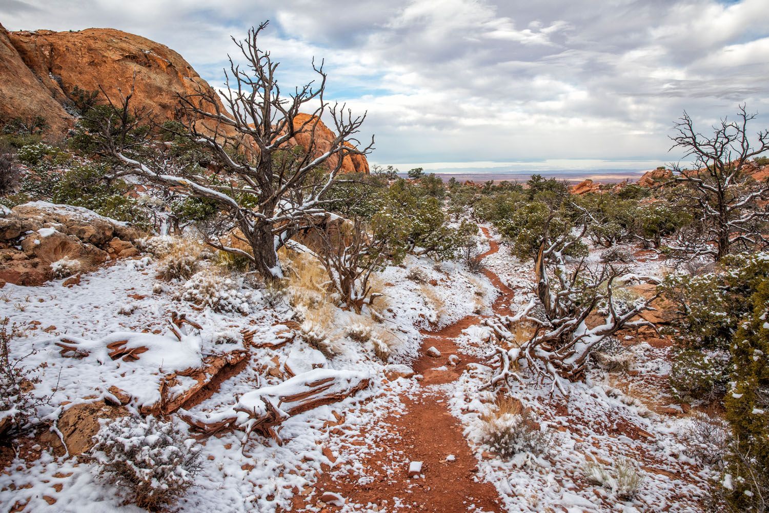 Syncline Loop in the Snow