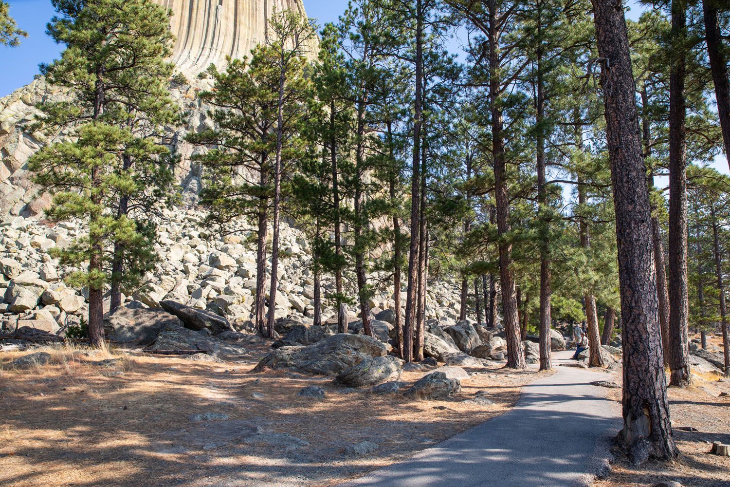 Tower Trail Devils Tower