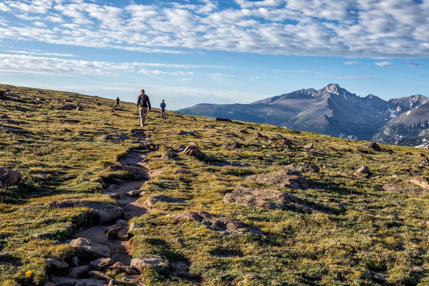 Ute Trail Longs Peak