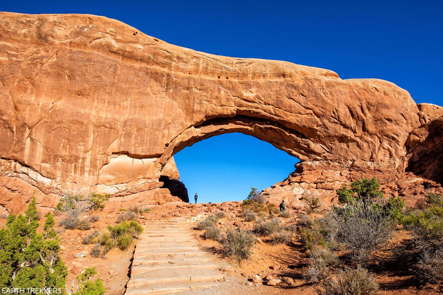 Window Arch