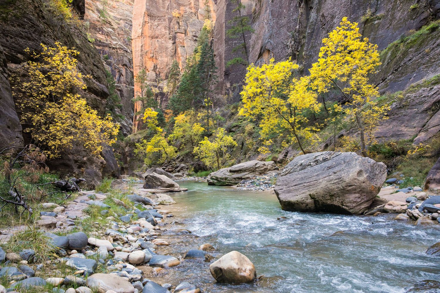 Zion Narrows | Best National Parks in October