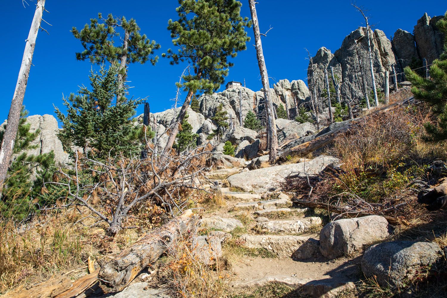 Black Elk Peak Trail