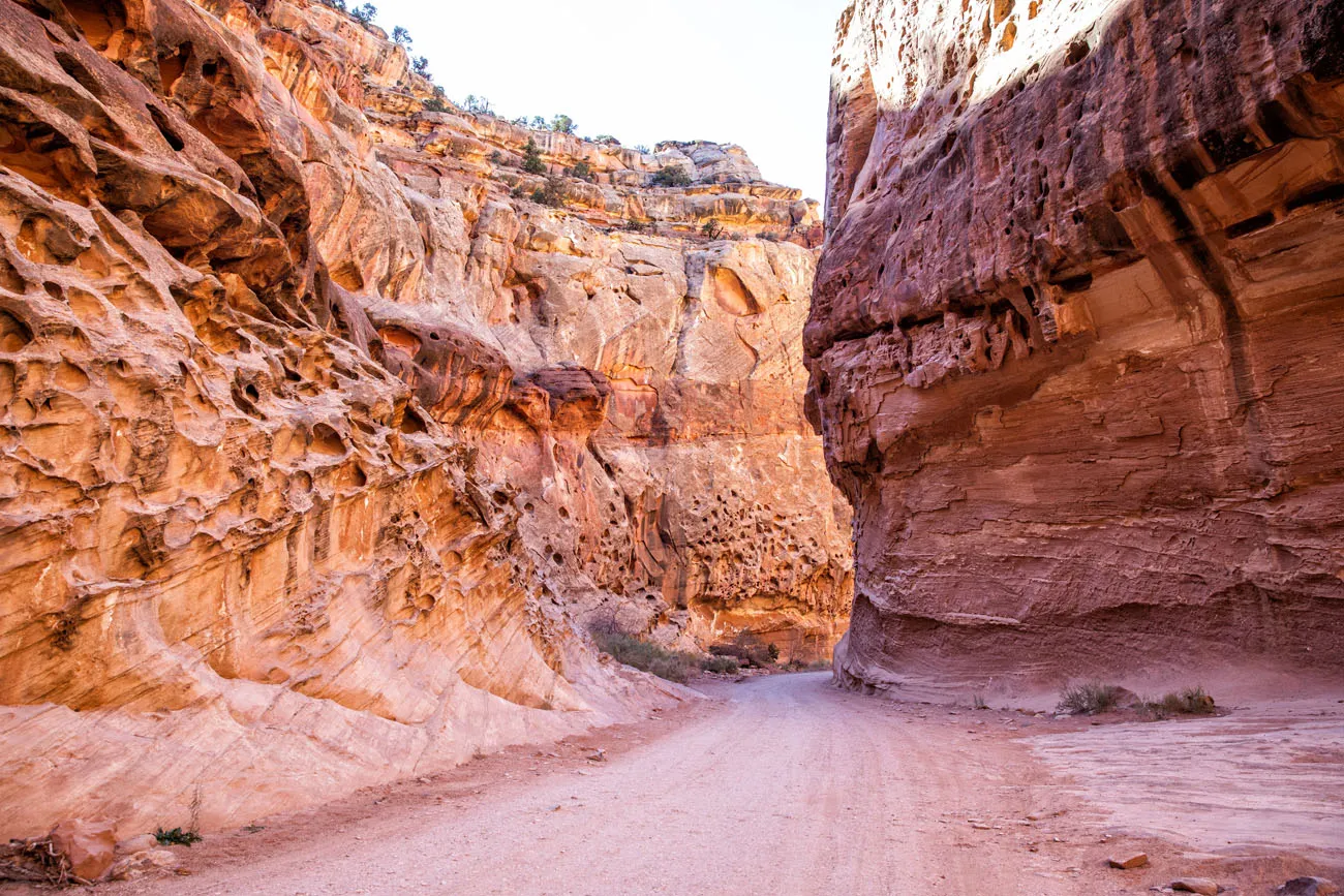 Capitol Gorge Road