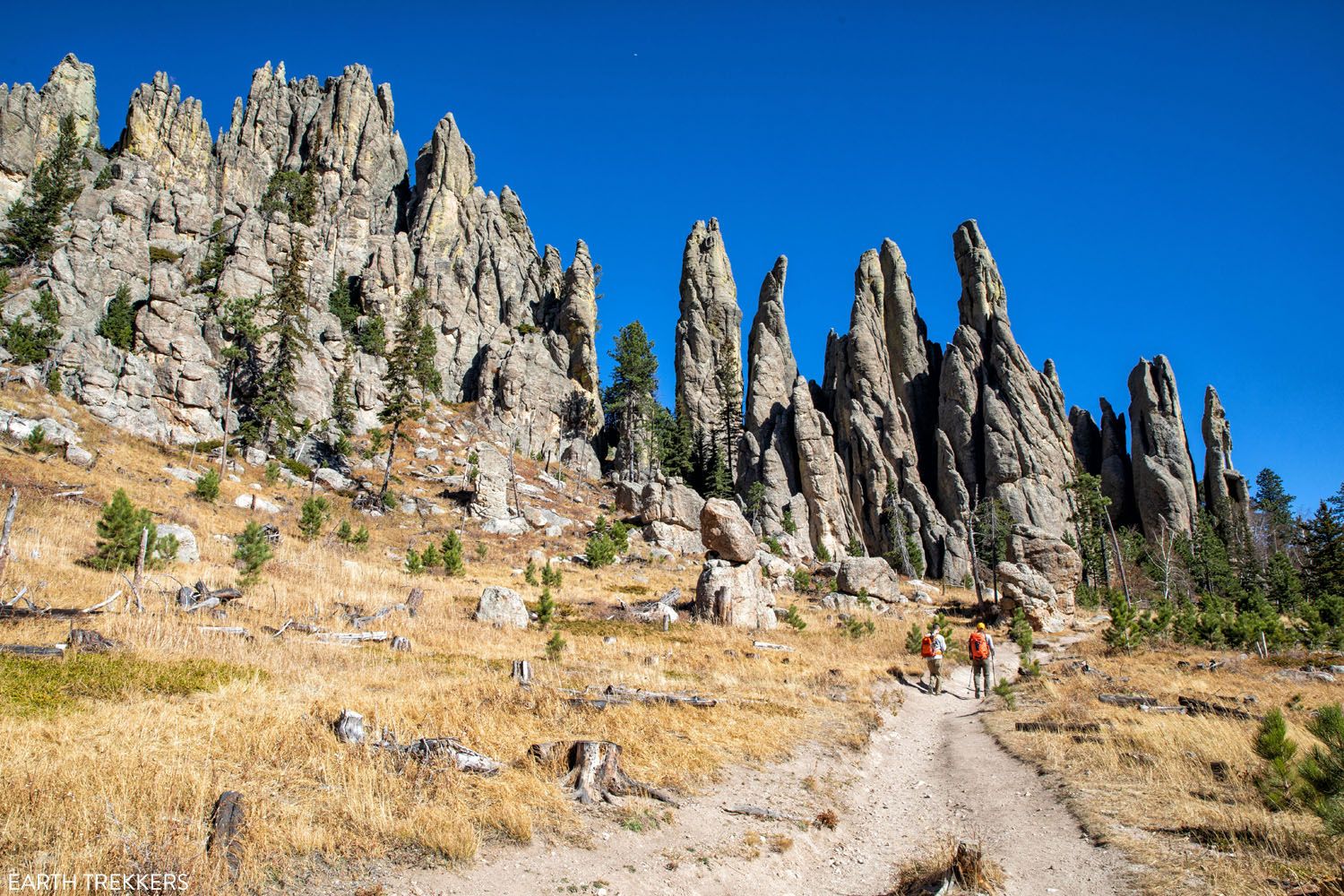 Cathedral Spires Custer State Park