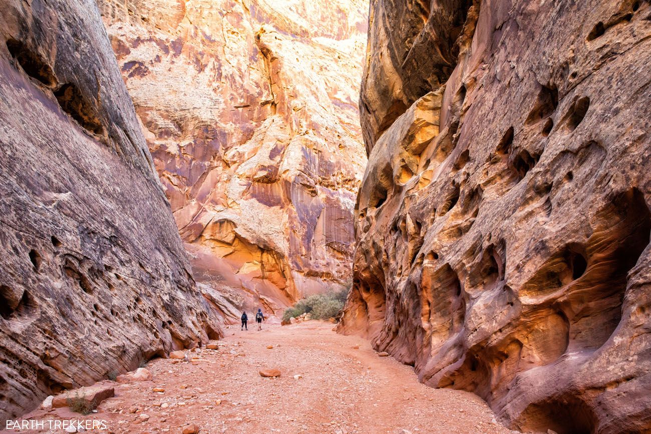 Grand Wash Hike