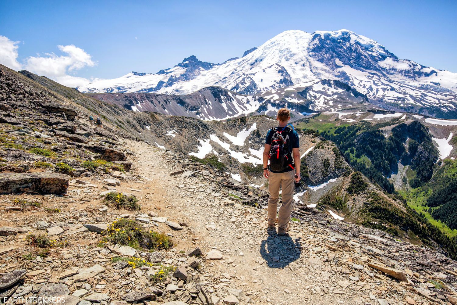 Great View of Mount Rainier