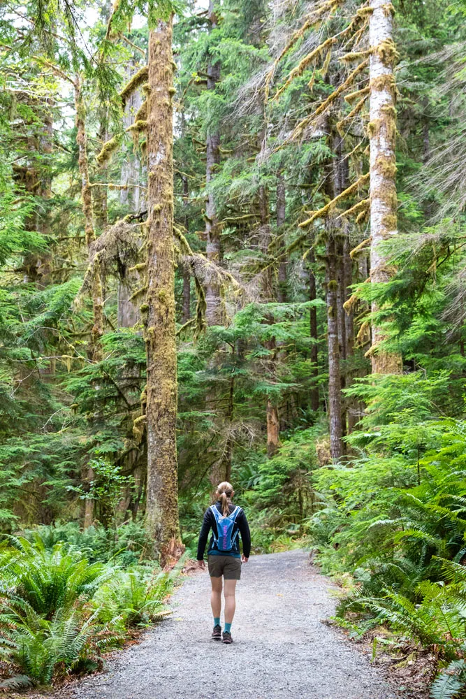 Hike Olympic National Park