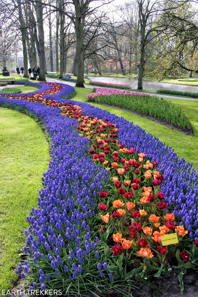 Keukenhof