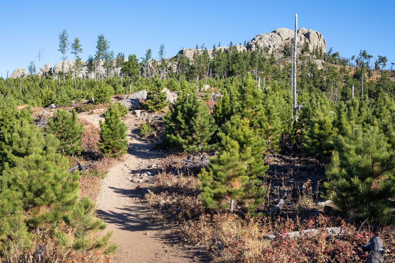 Little Devils Tower Trail best hike in Custer State Park