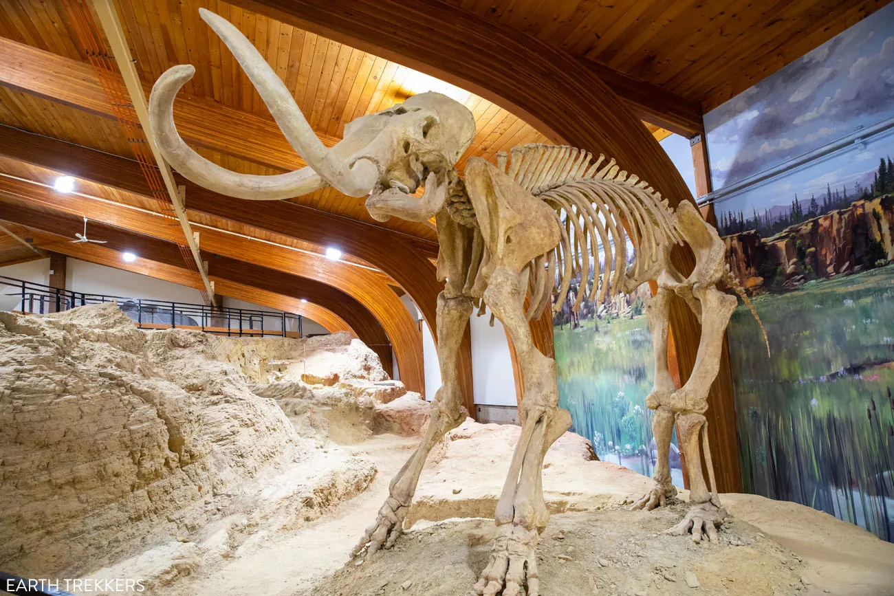 Mammoth Site