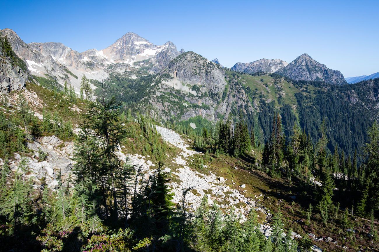 Heather Pass Viewpoint