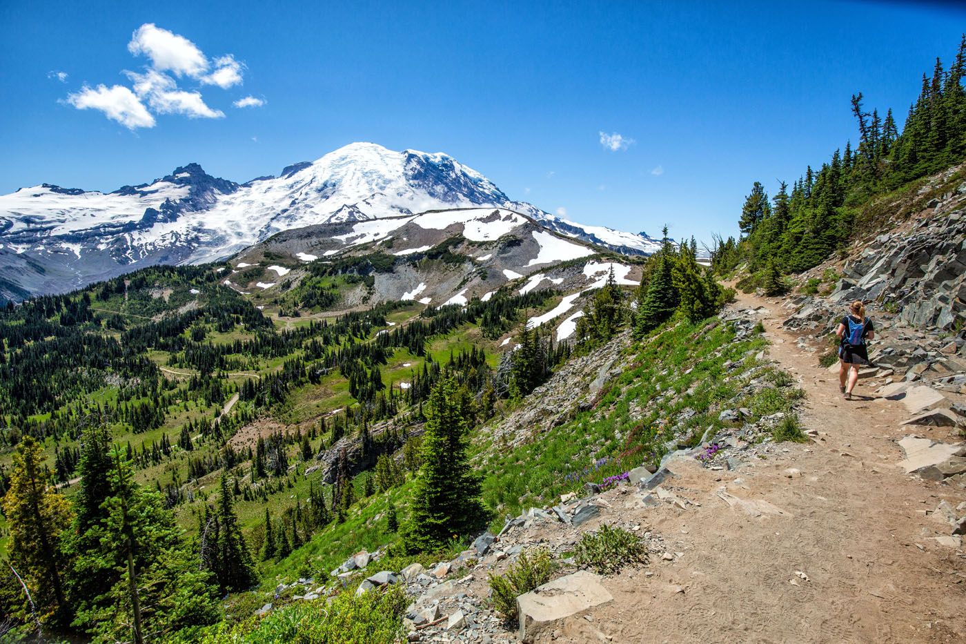 Mount Rainier Hike July