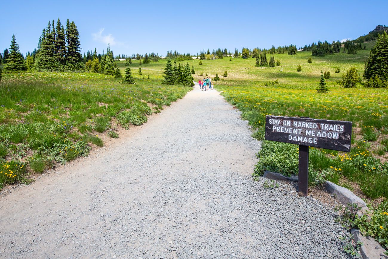 Mount Rainier Sunrise Trailhead