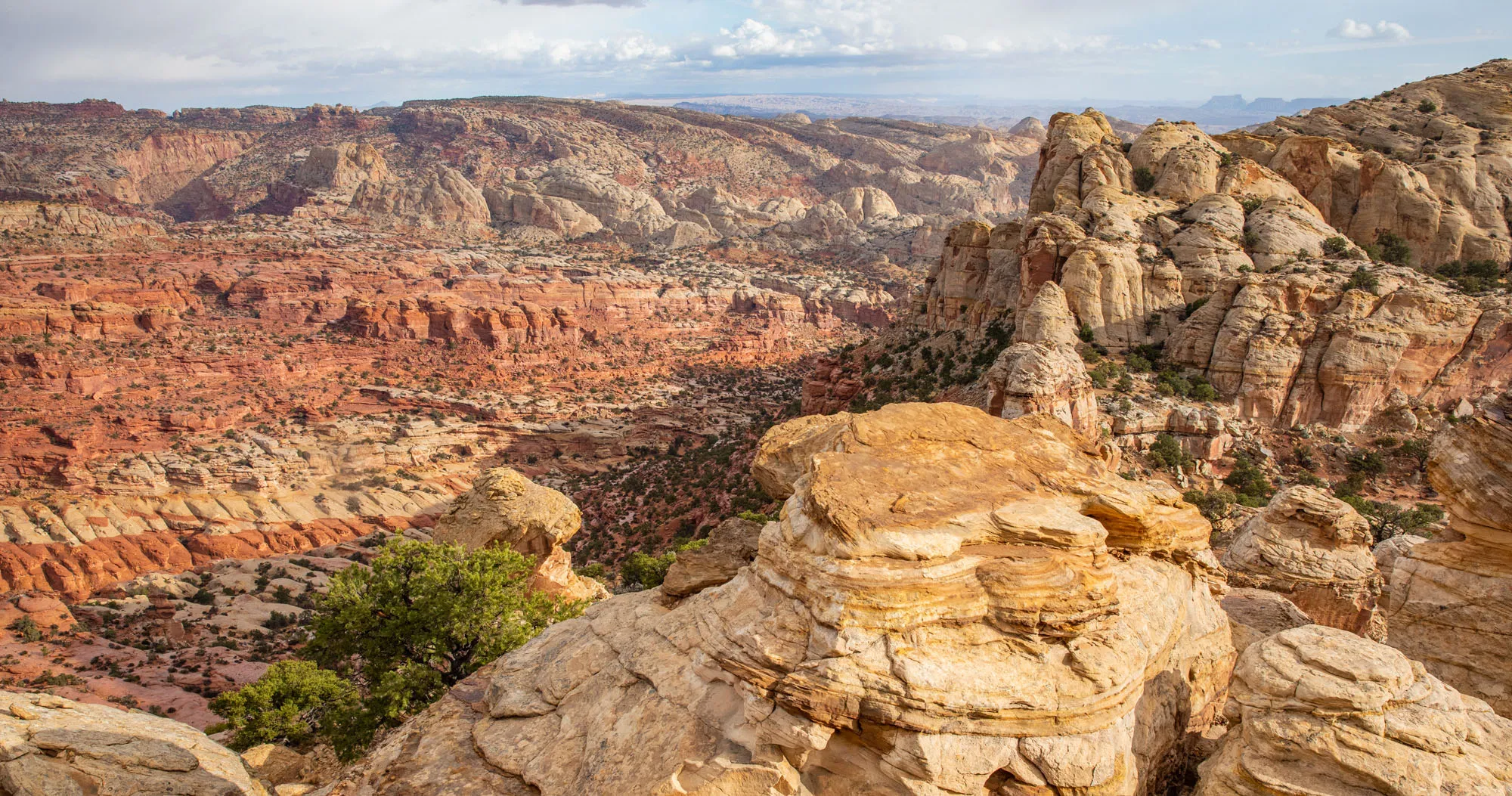 Navajo Knobs Hike Photo