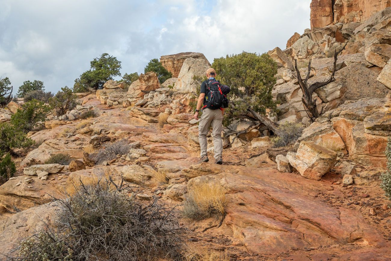 Navajo Knobs Hiking Trail