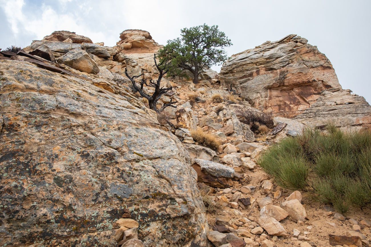 Navajo Knobs Rock Scramble