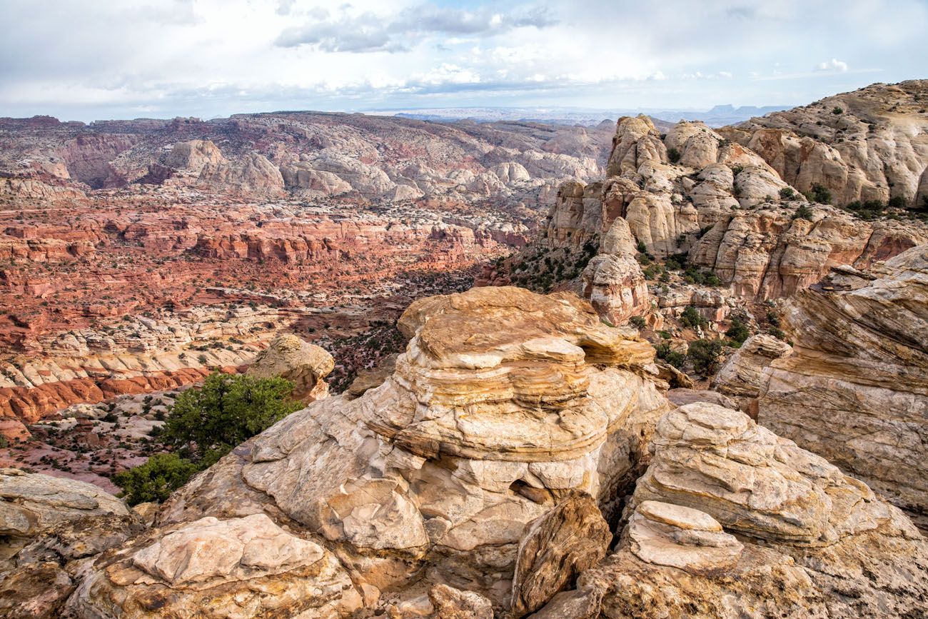 Navajo Knobs View