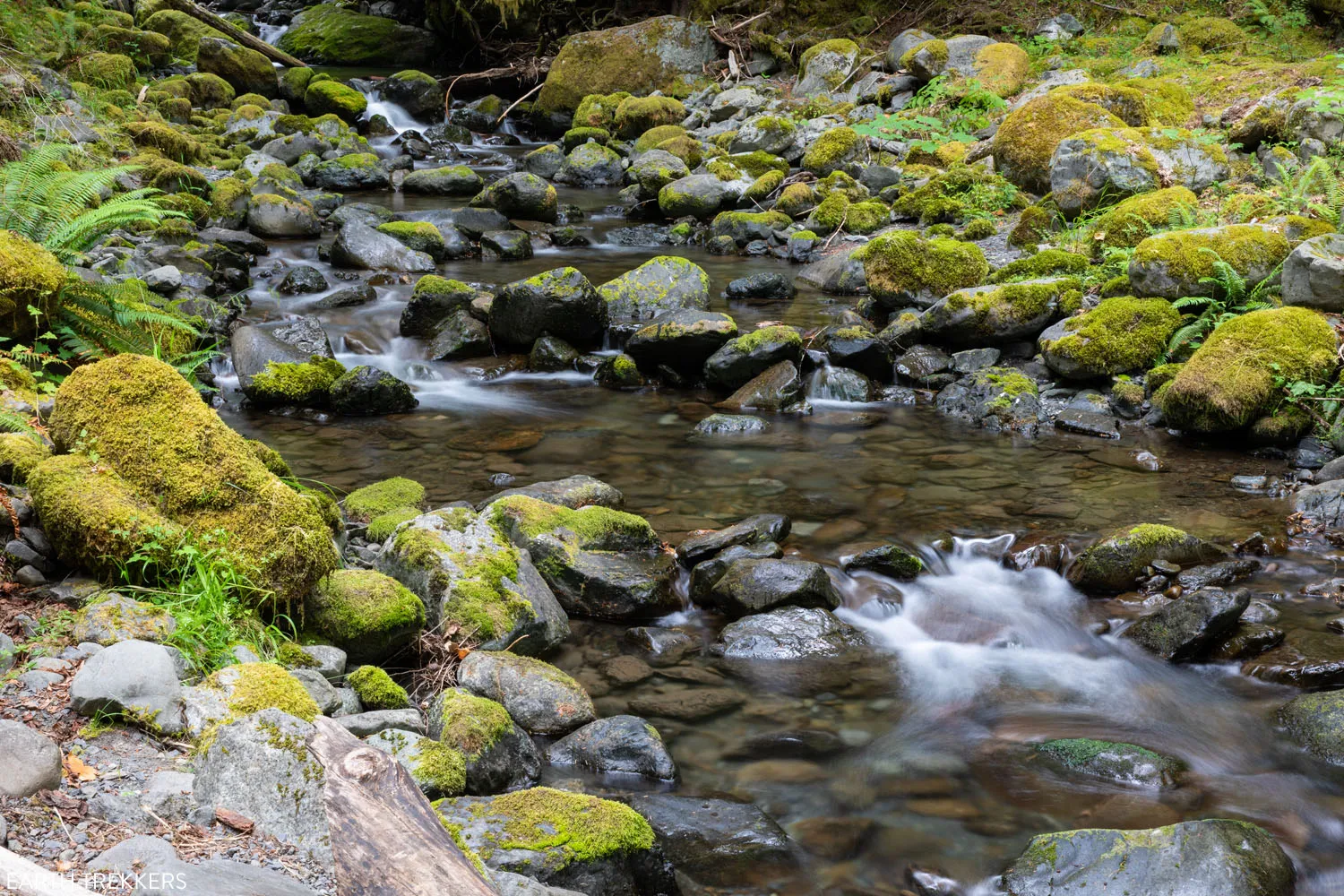 Staircase Rapids Loop