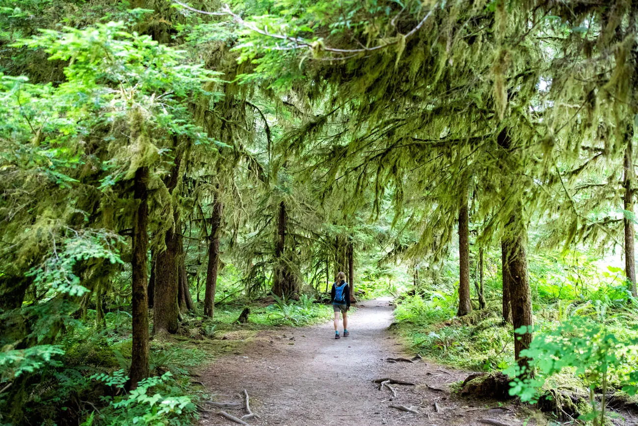 Olympic Rainforest | Best National Parks in August