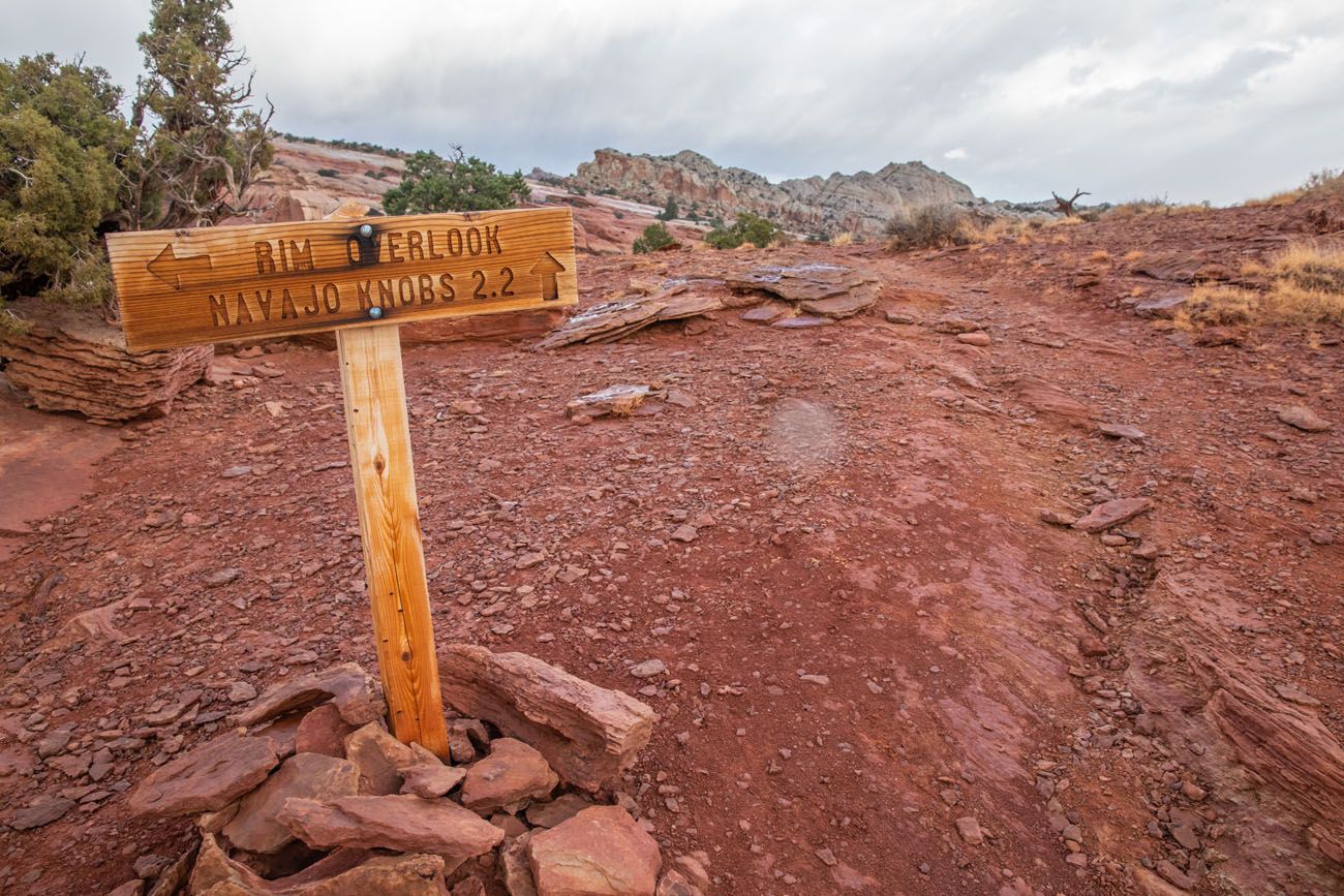 Rim Overlook Sign