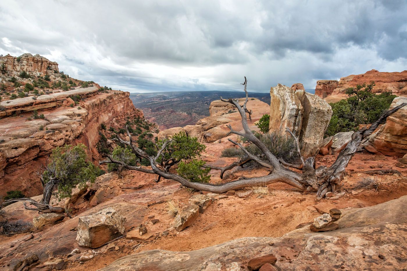 Rim Overlook Trail