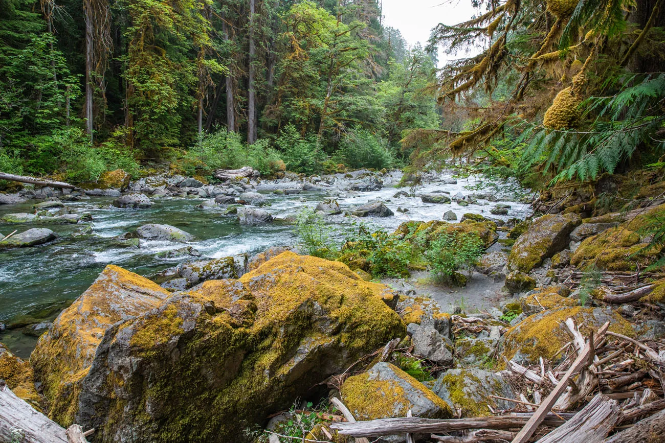 Skokomish River