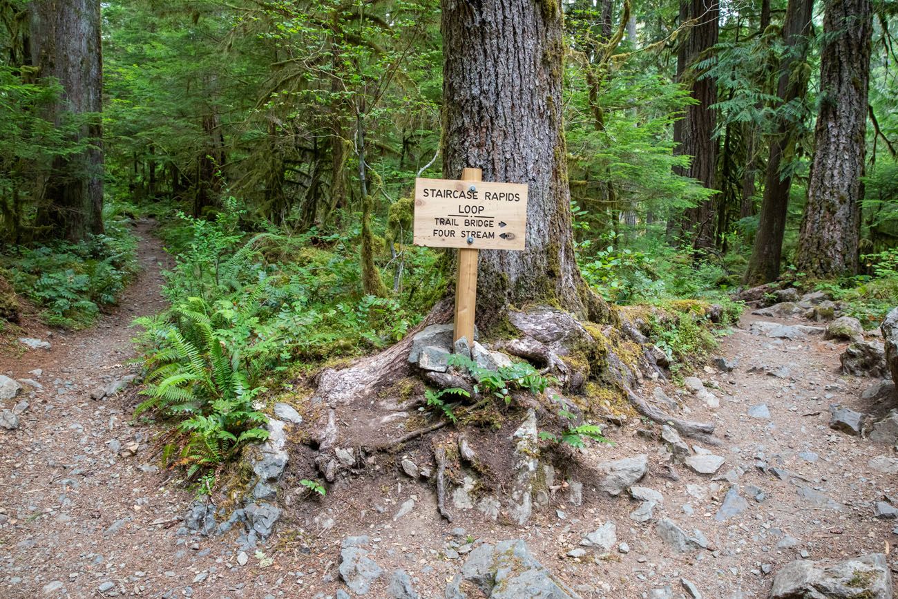 Staircase Rapids Sign