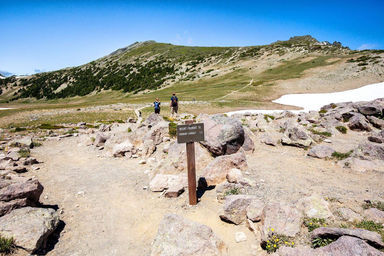 Trail to Mount Fremont