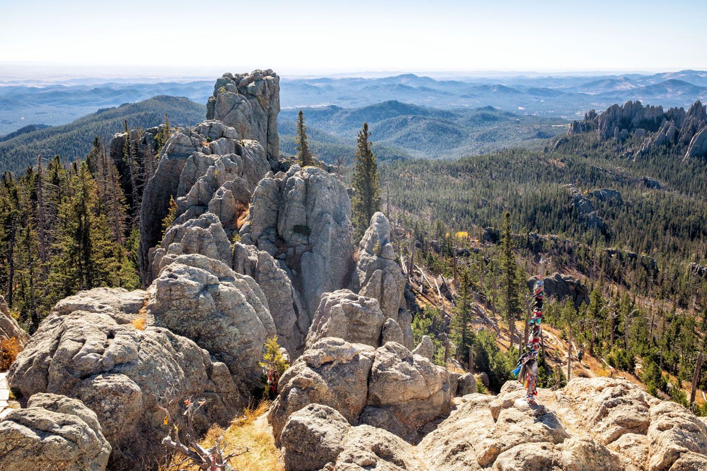 View from Black Elk Peak