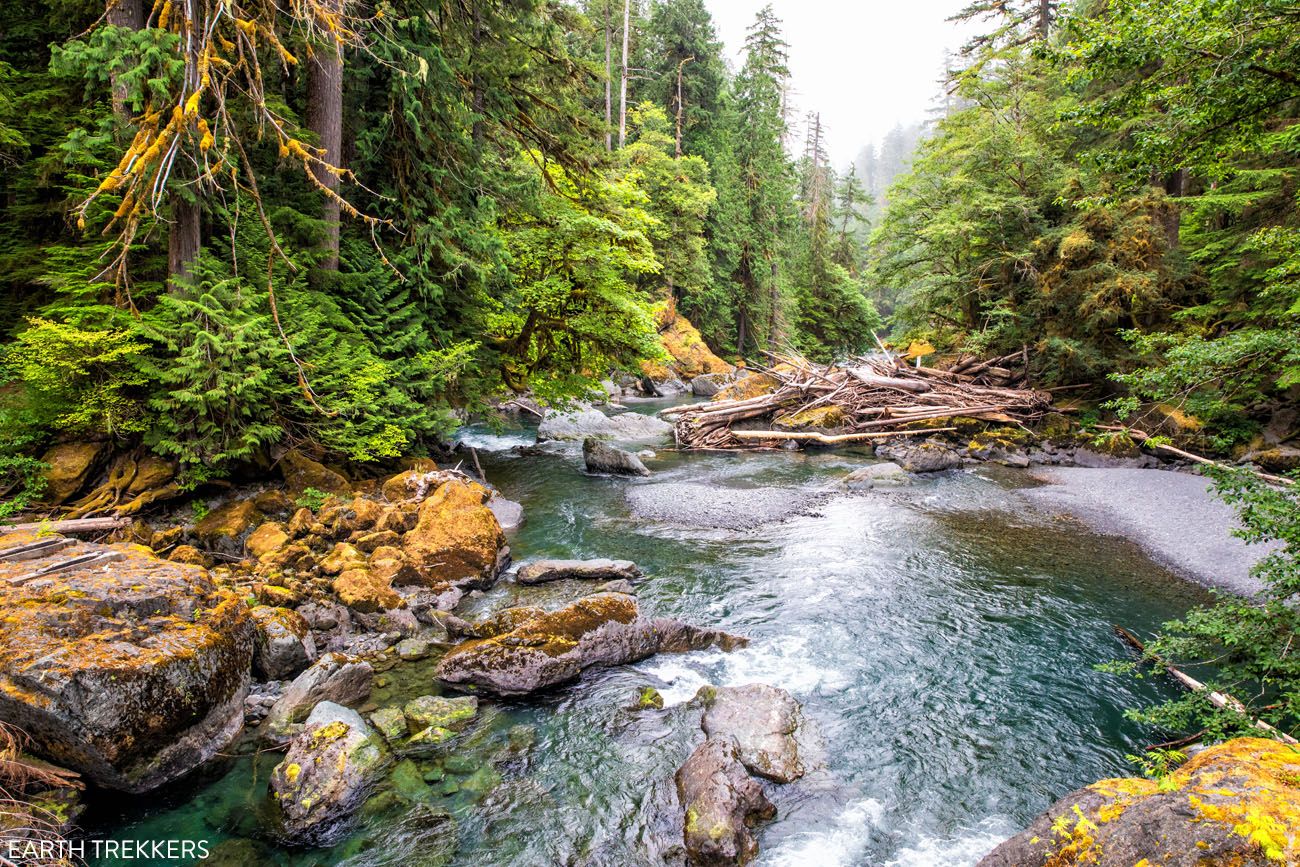 View from the Bridge Staircase Rapids Loop