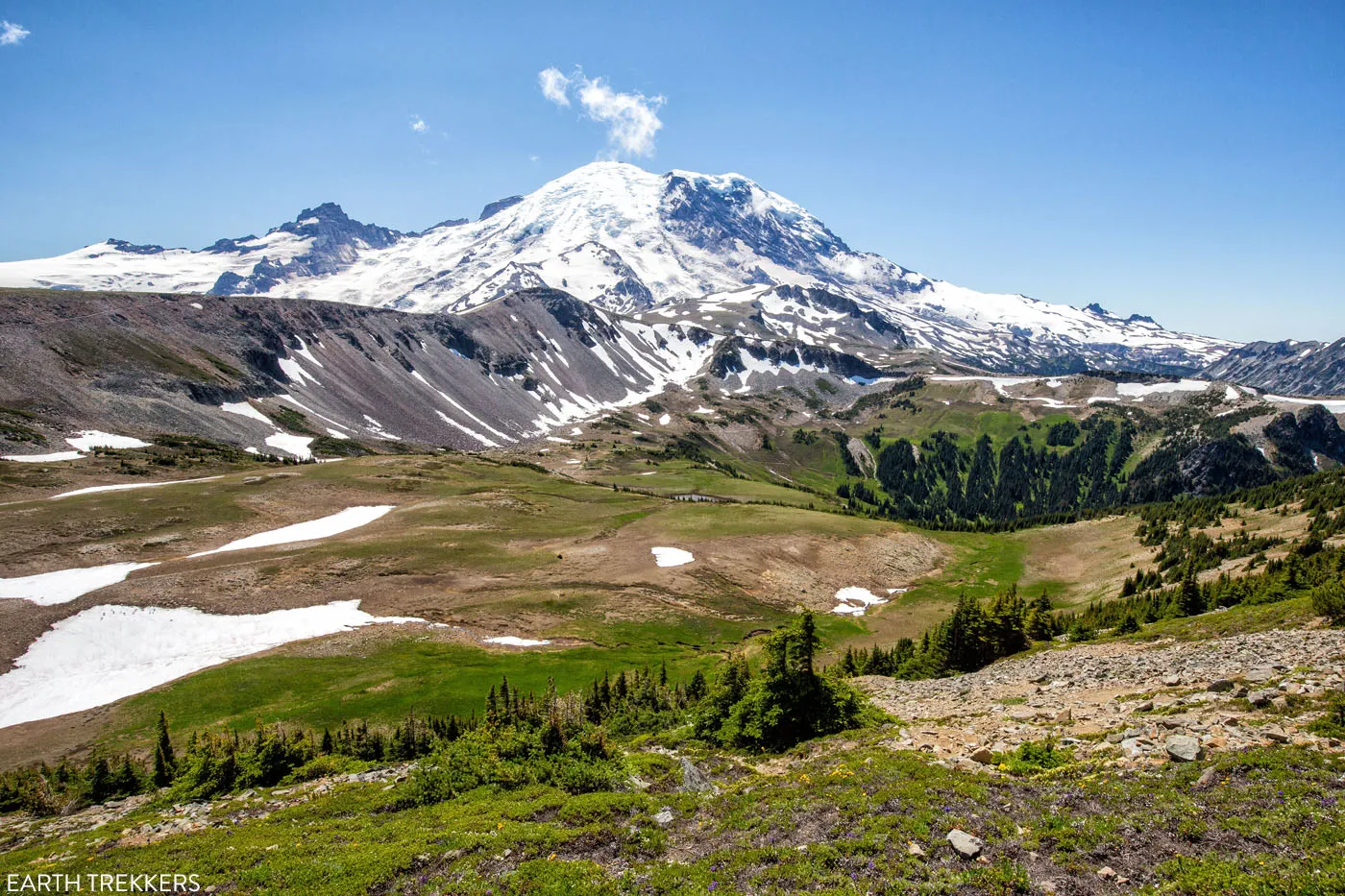 View of Mount Rainier