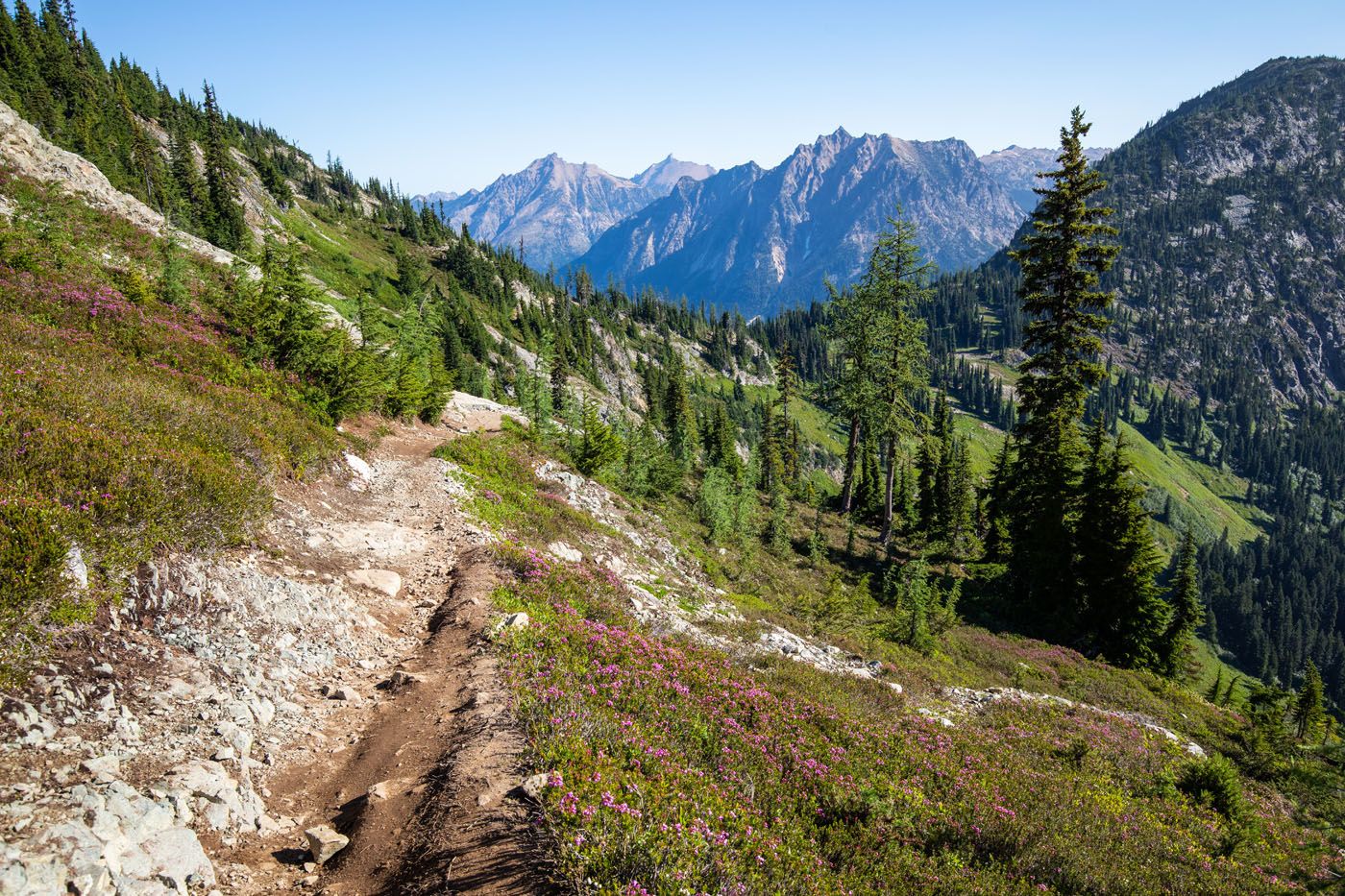 View of the Trail