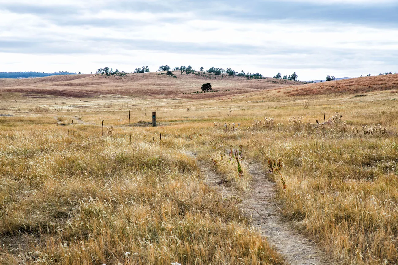 Wind Cave NP Prairie things to do in South Dakota