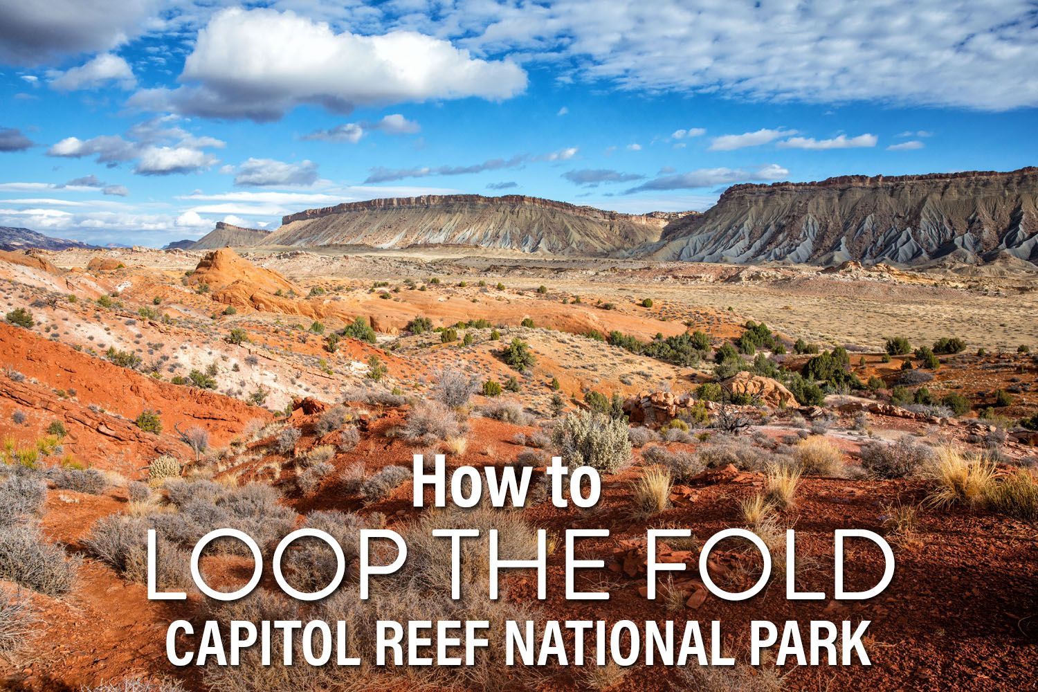 Capitol Reef Loop the Fold