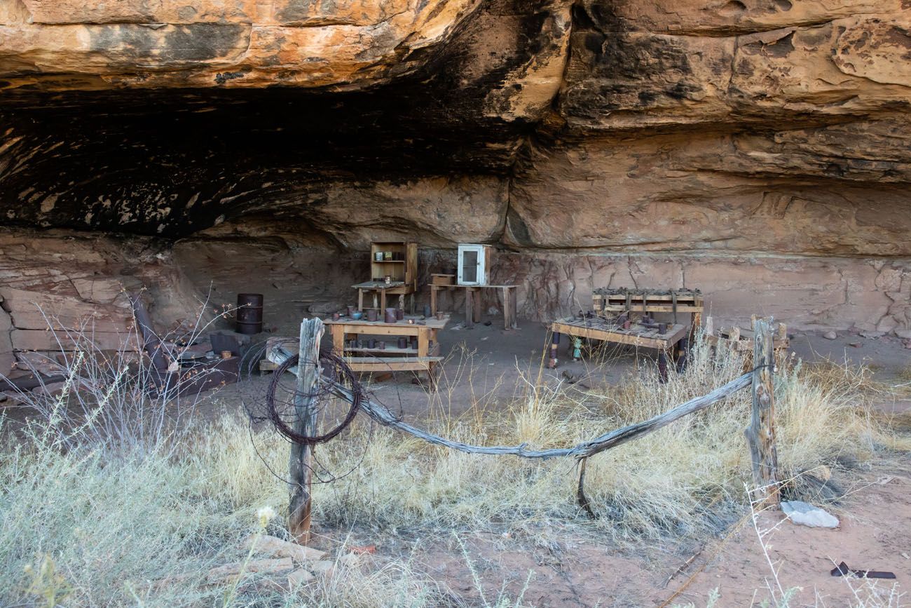 Cave Spring Trail