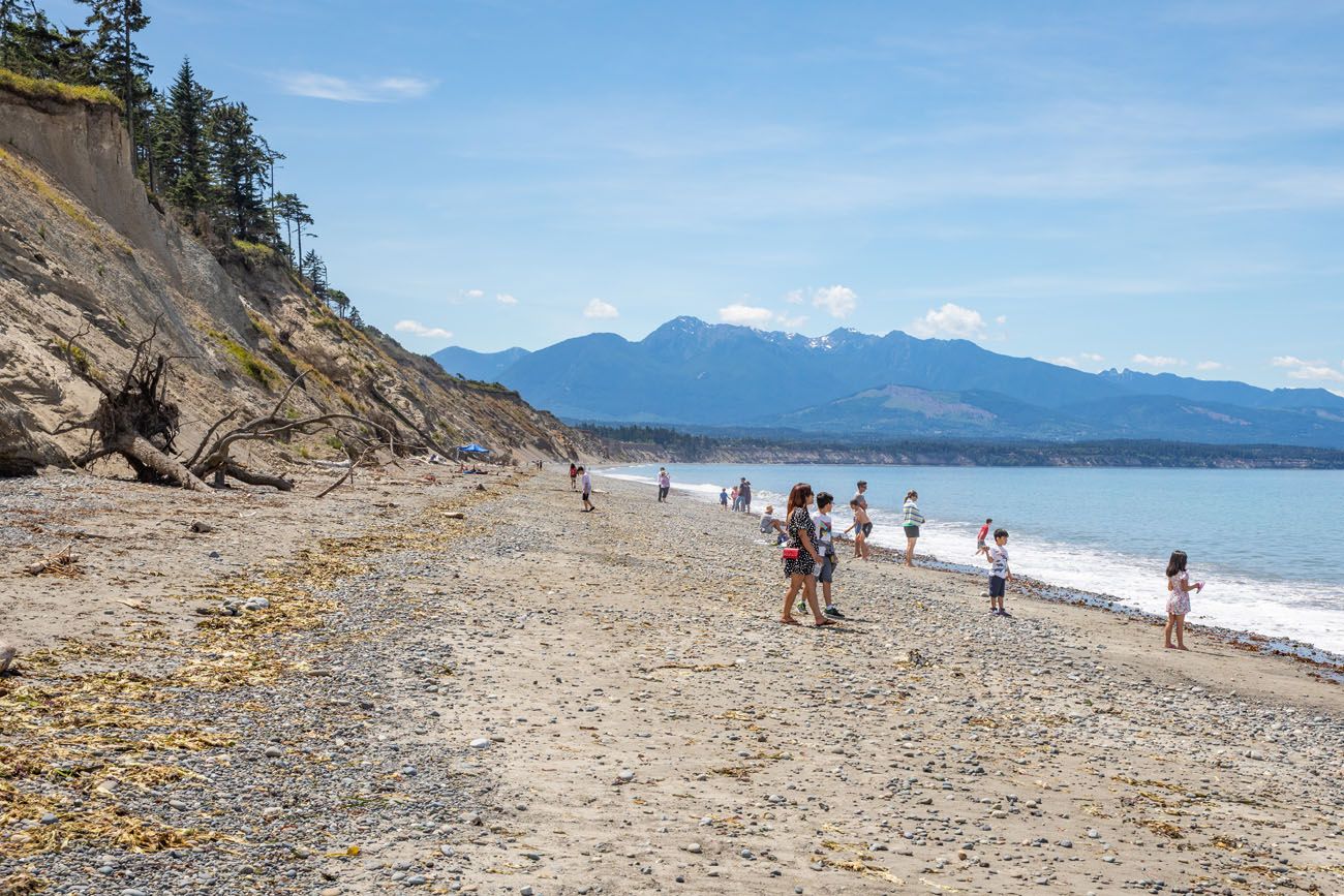 Dungeness Spit Beach