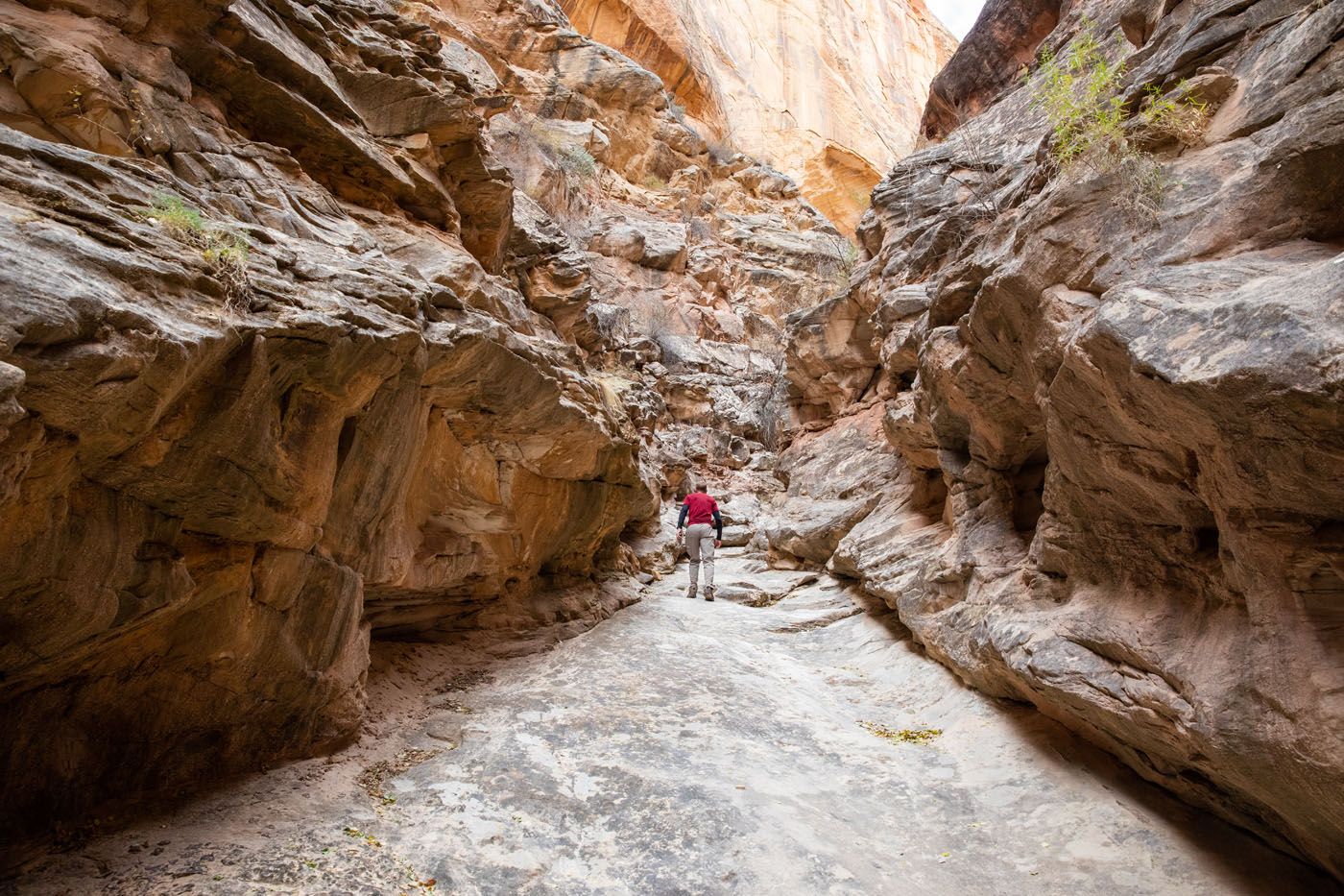 Headquarters Canyon Capitol Reef