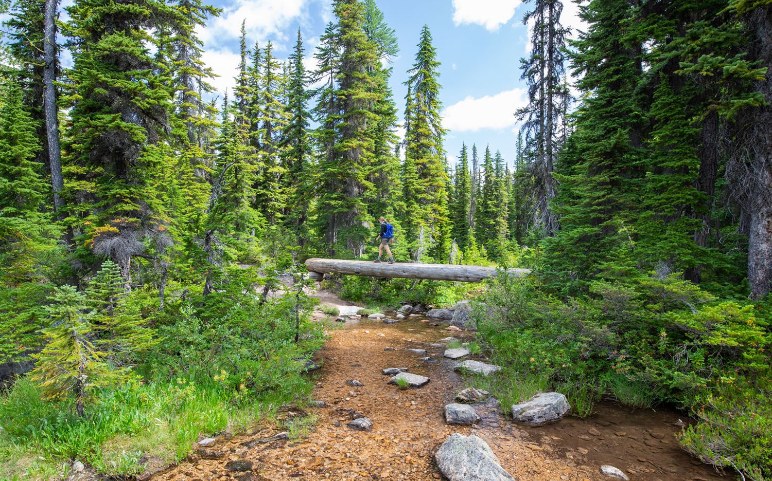 Hiking in North Cascades | Best National Parks in July