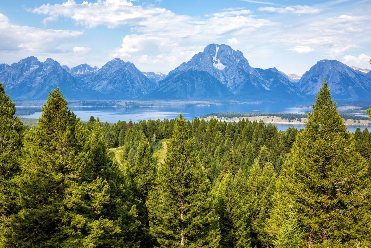 Jackson Lake Overlook